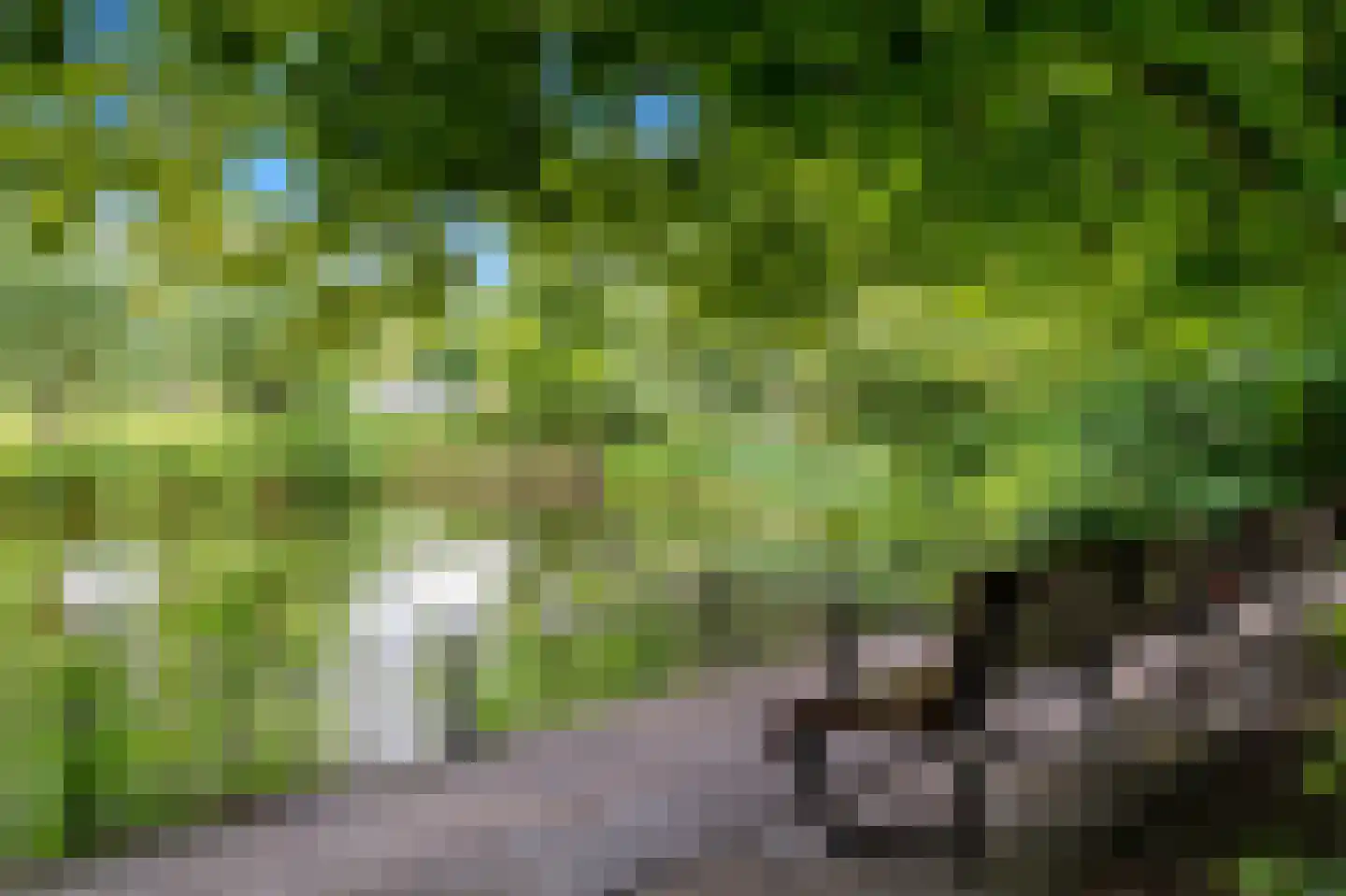 Stadhoudersplantsoen 22 V Den Haag thumbnail 44