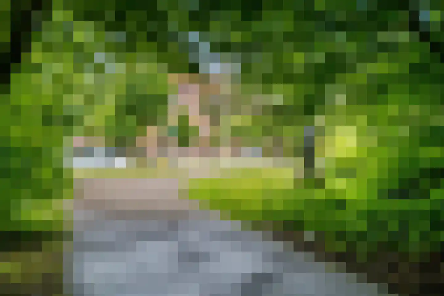 Stadhoudersplantsoen 22 V Den Haag thumbnail 45