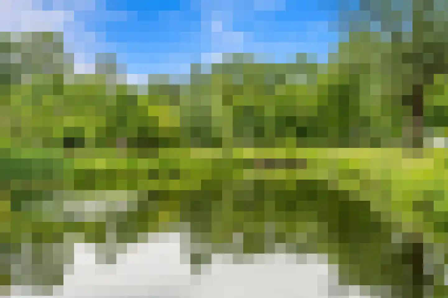 Stadhoudersplantsoen 22 V Den Haag thumbnail 46
