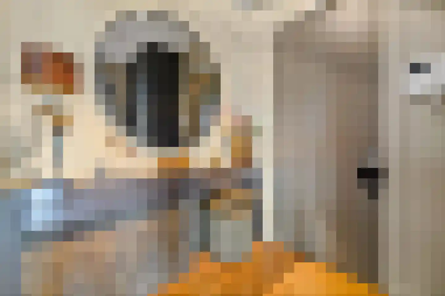 Stadhoudersplantsoen 22 V Den Haag thumbnail 9