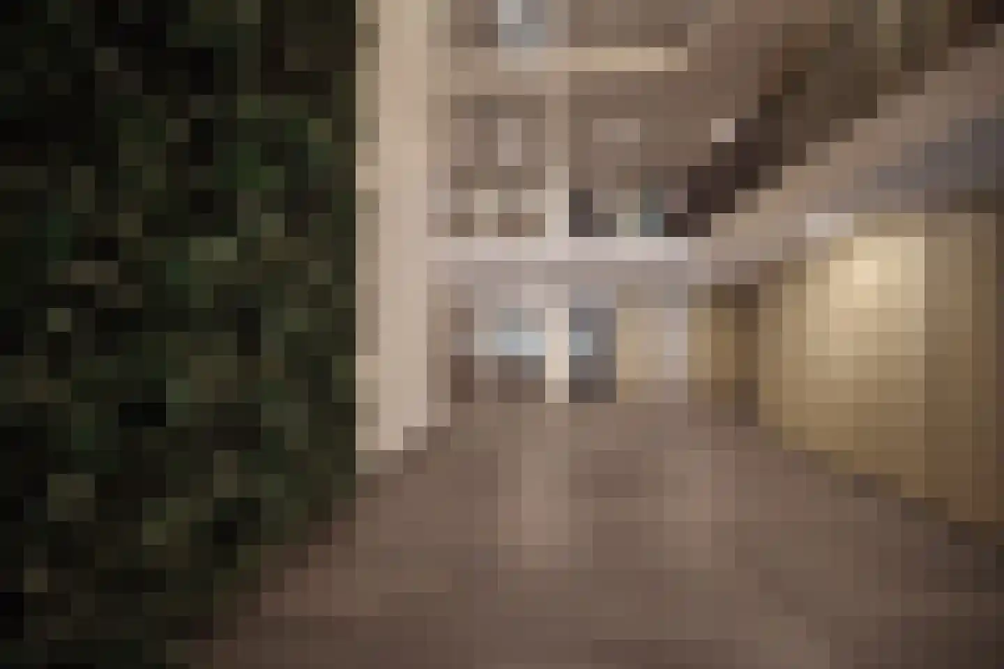 Stadhoudersplantsoen 246 A Den Haag thumbnail 23