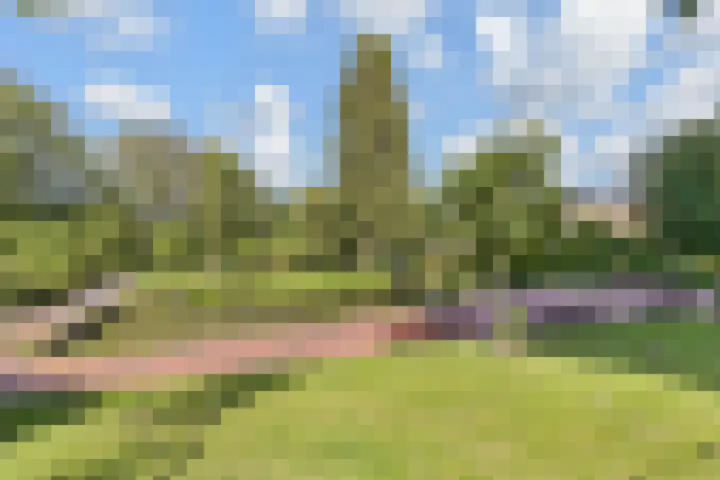 Stadhoudersplantsoen 246 Den Haag thumbnail 42