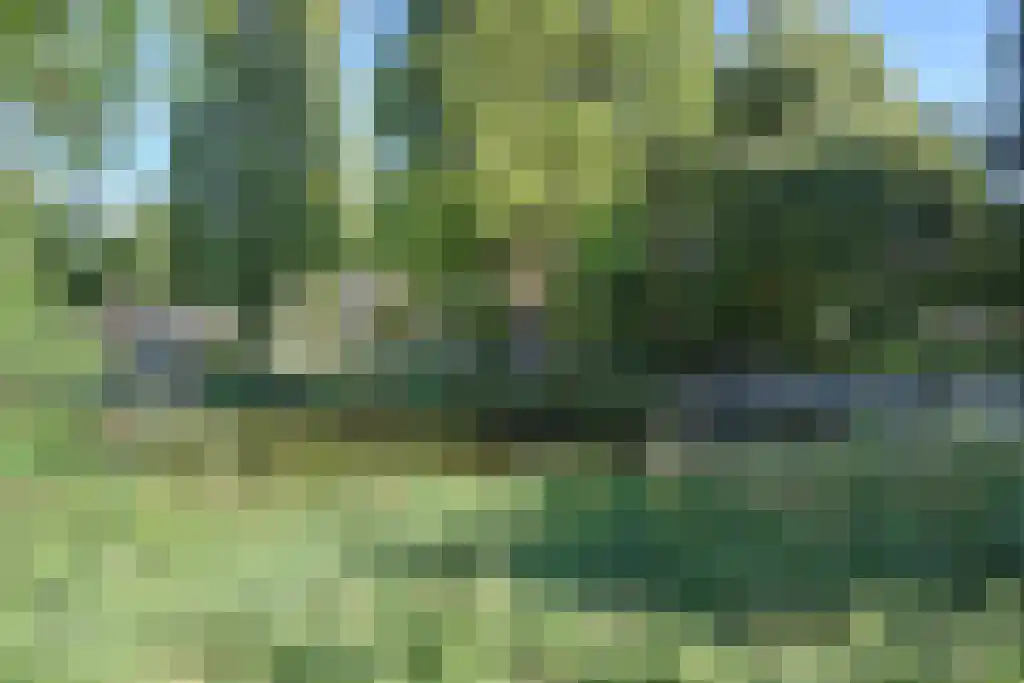 Stadhoudersplantsoen 246 Den Haag thumbnail 44