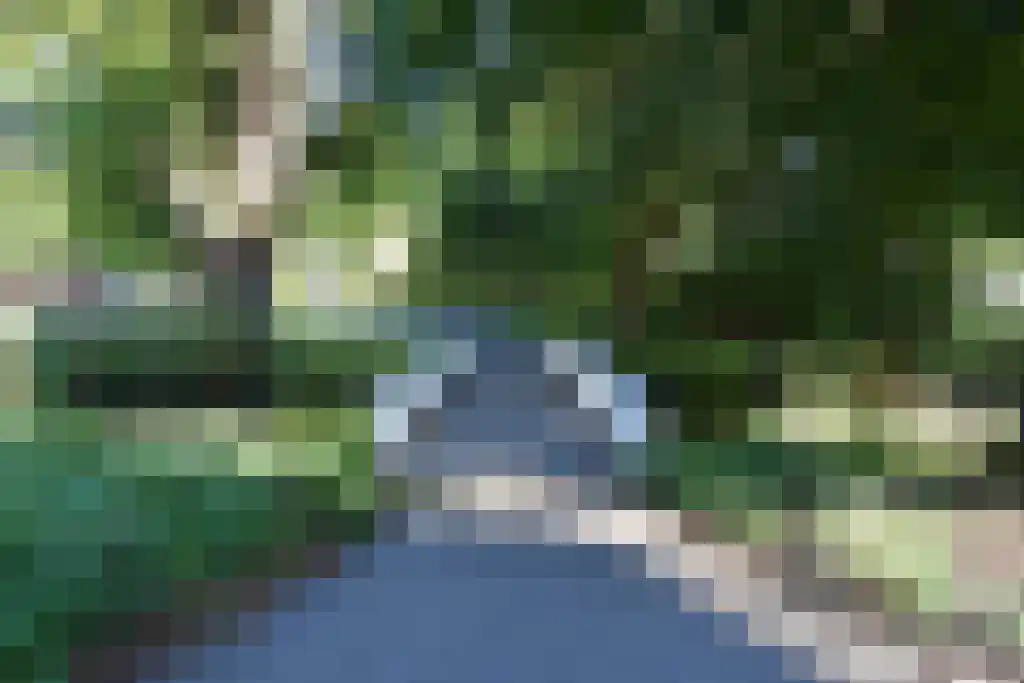 Stadhoudersplantsoen 246 Den Haag thumbnail 45