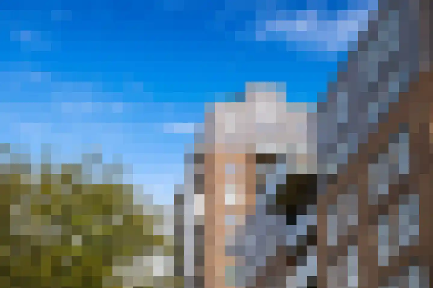 Stadhoudersplantsoen 258 Den Haag thumbnail 8