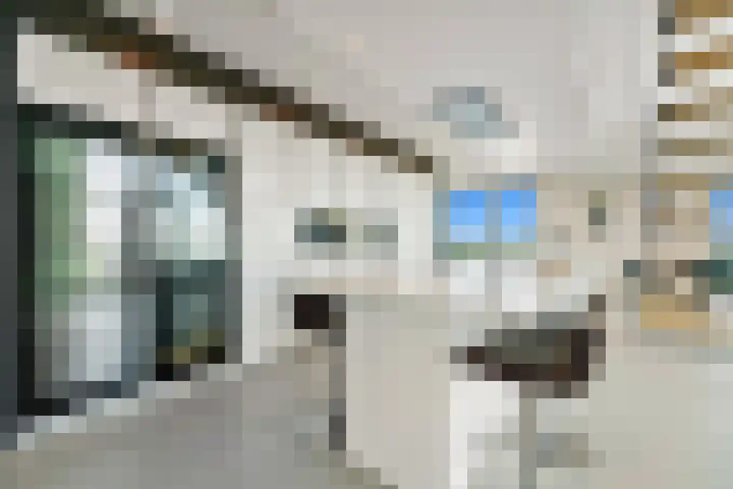Stadhoudersplantsoen 260 C Den Haag thumbnail 12