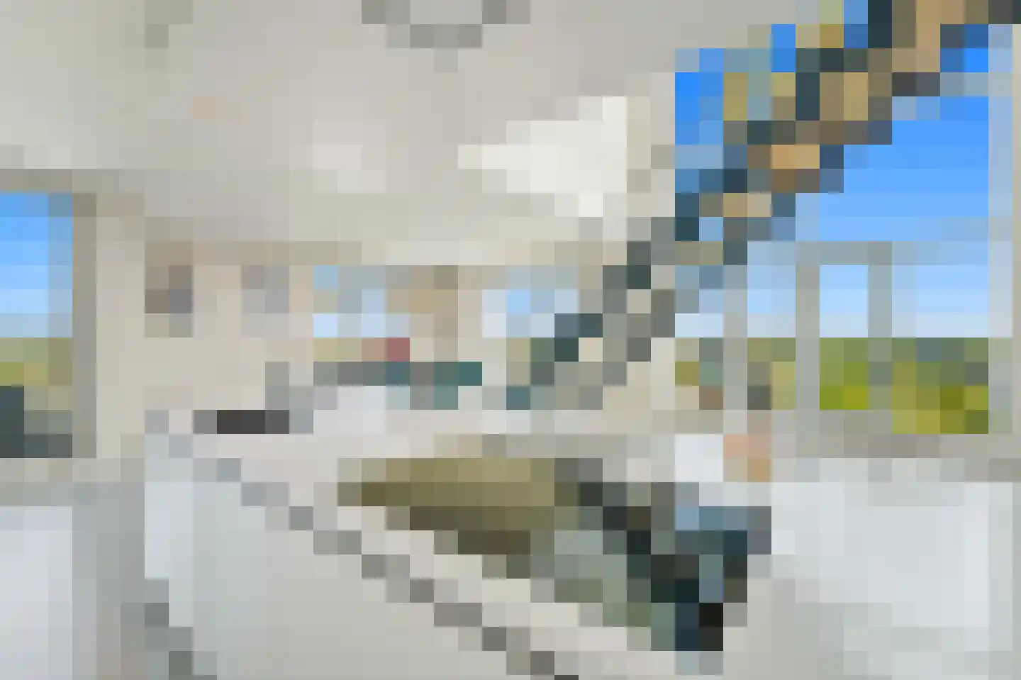 Stadhoudersplantsoen 260 C Den Haag thumbnail 13