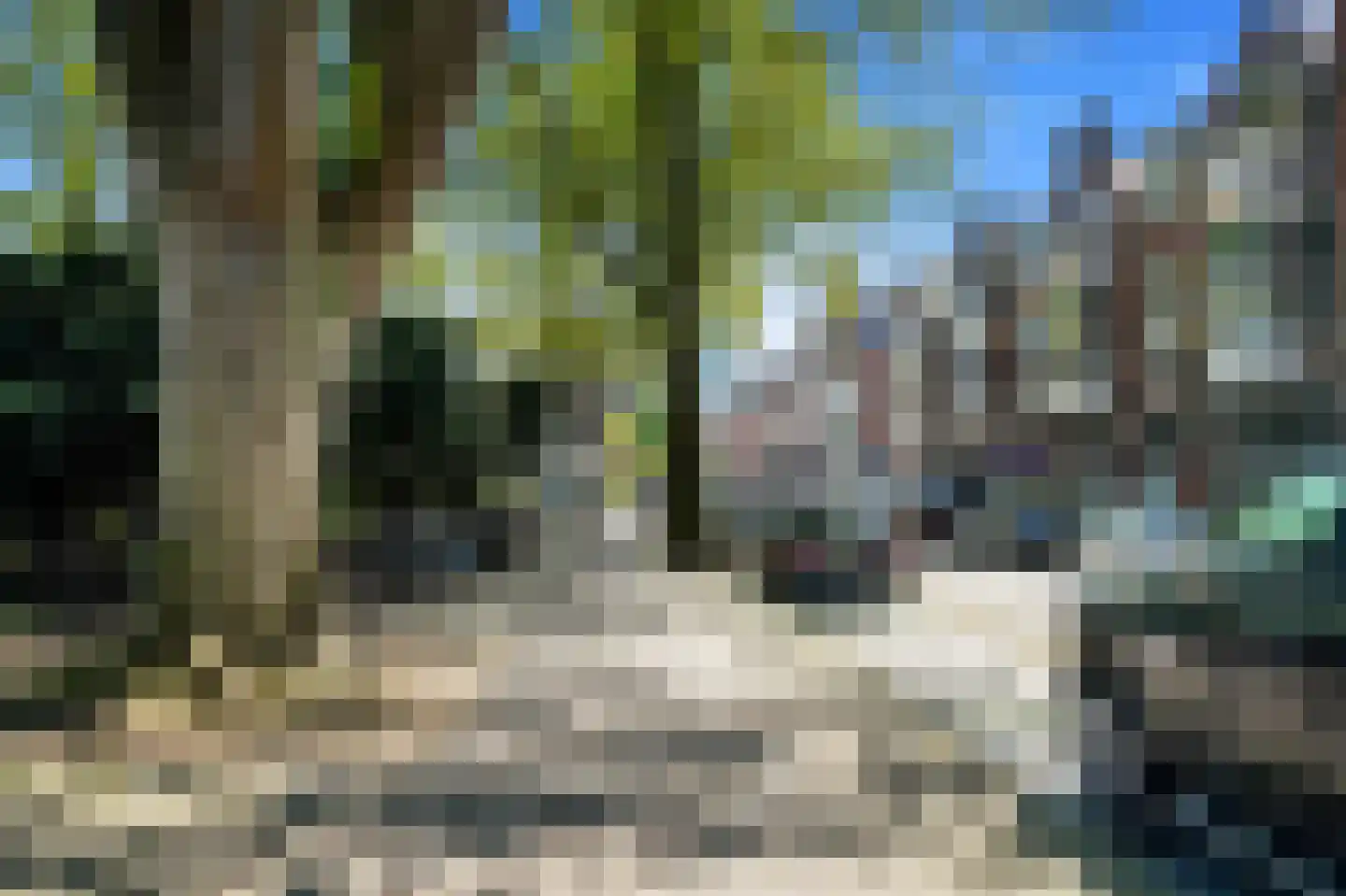 Stadhoudersplantsoen 260 C Den Haag thumbnail 63