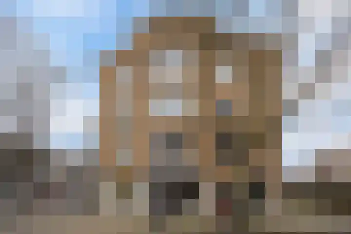 Stadhoudersplantsoen 94 Den Haag thumbnail 34