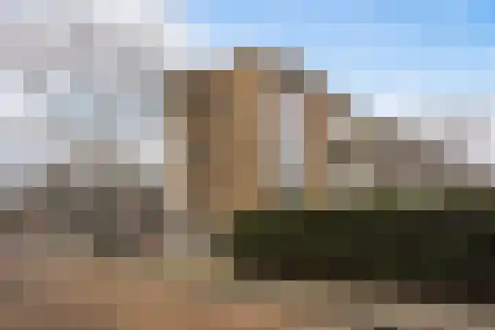 Stadhoudersplantsoen 94 Den Haag thumbnail 35