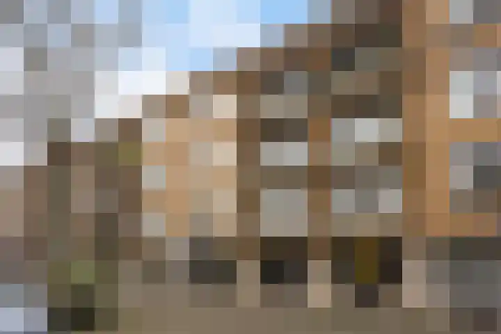 Stadhoudersplantsoen 94 Den Haag thumbnail 36