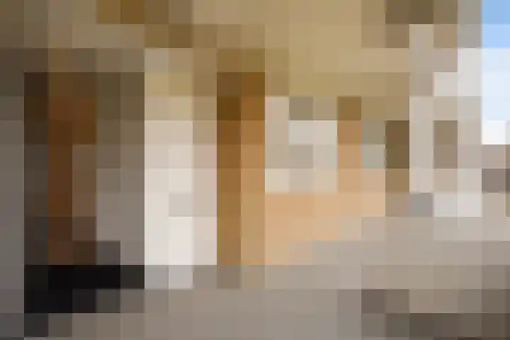 Stadhoudersplantsoen 94 Den Haag thumbnail 5