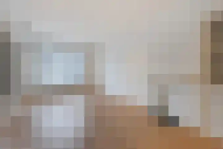 Stadhoudersplantsoen 94 Den Haag thumbnail 7