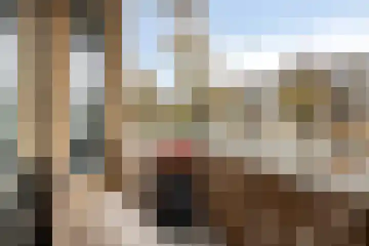 Stadhoudersplantsoen 96 Den Haag thumbnail 19