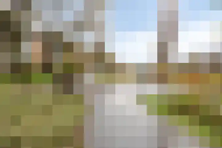 Stadhoudersplantsoen 96 Den Haag thumbnail 24
