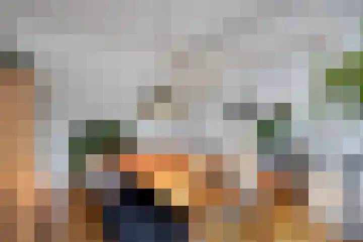 Stadhoudersplantsoen 96 Den Haag thumbnail 5