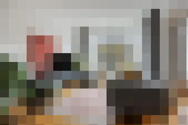 Stadhoudersplantsoen 96 Den Haag thumbnail 6