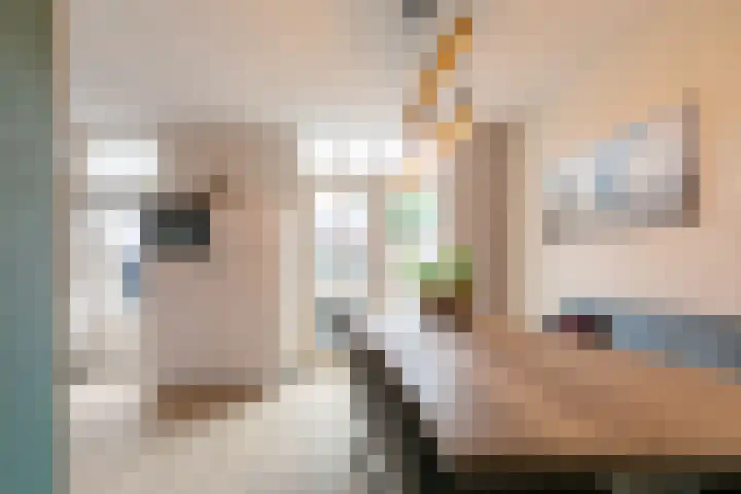 Stadhoudersplein 1 Raamsdonk thumbnail 18