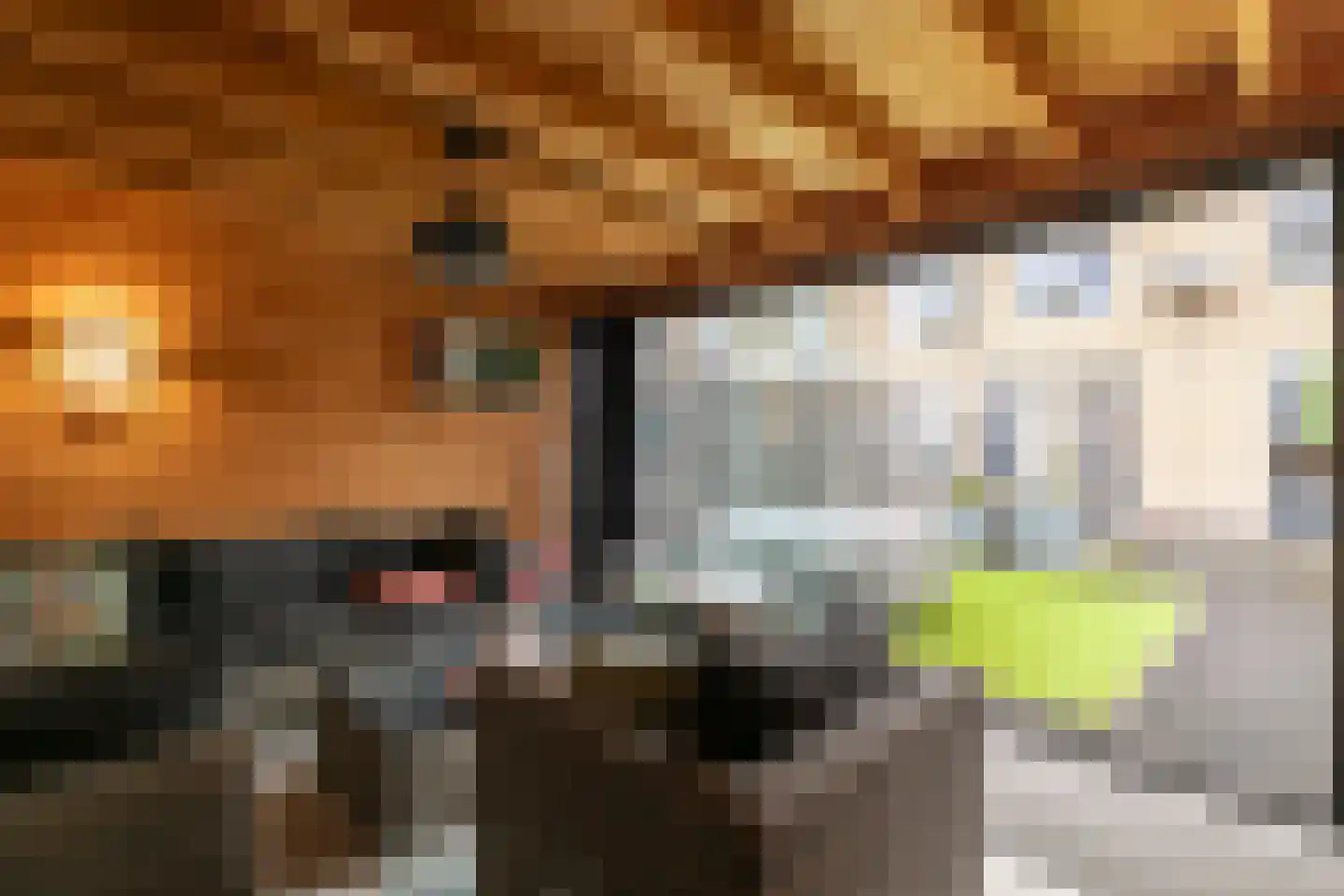 Stadhoudersplein 1 Raamsdonk thumbnail 55