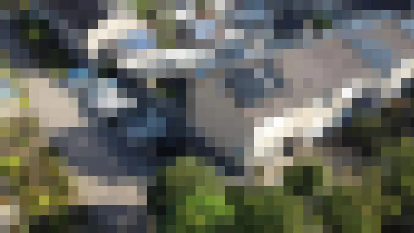 Stadhoudersplein 1 Raamsdonk thumbnail 59
