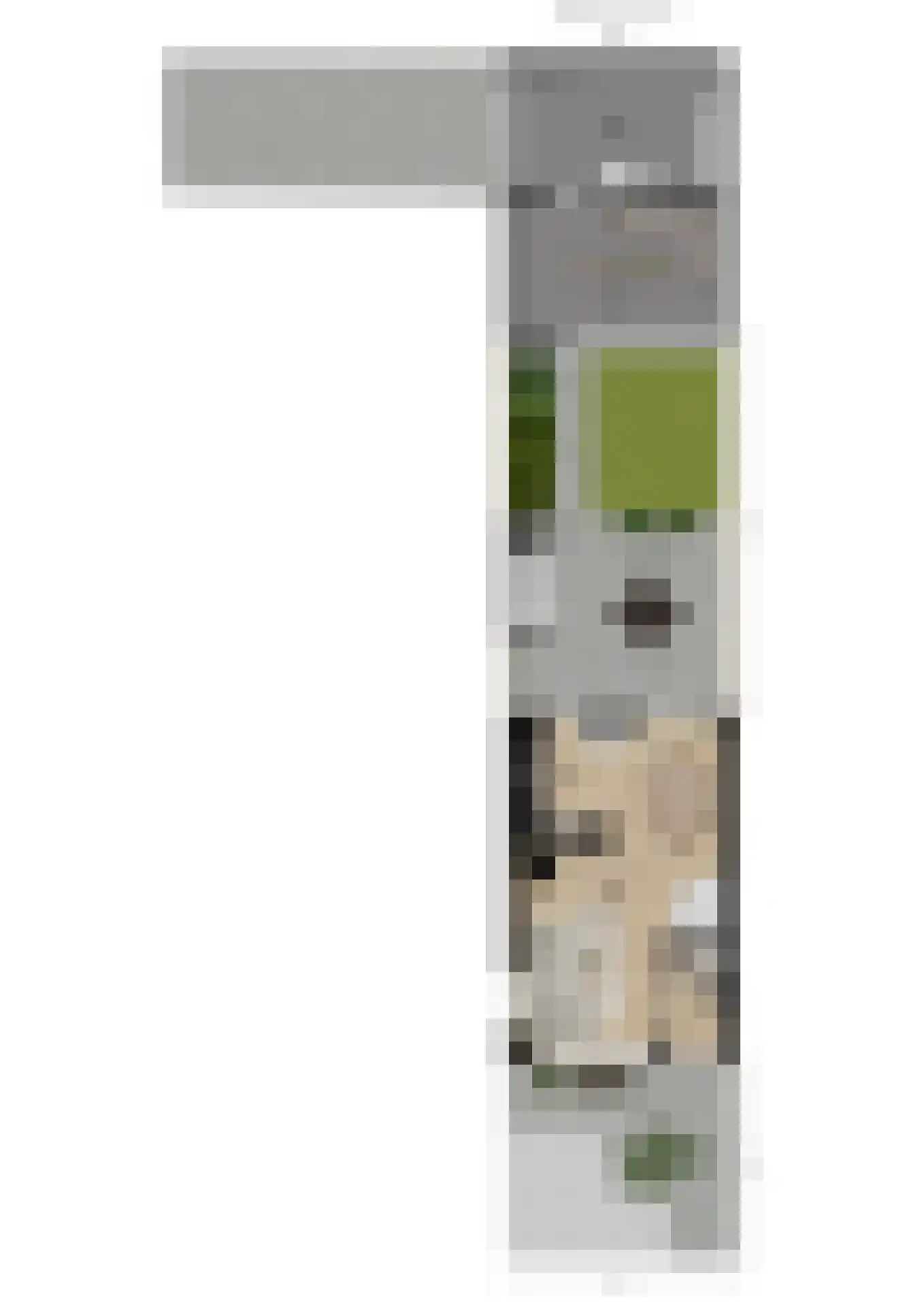Stadhoudersplein 1 Raamsdonk thumbnail 65
