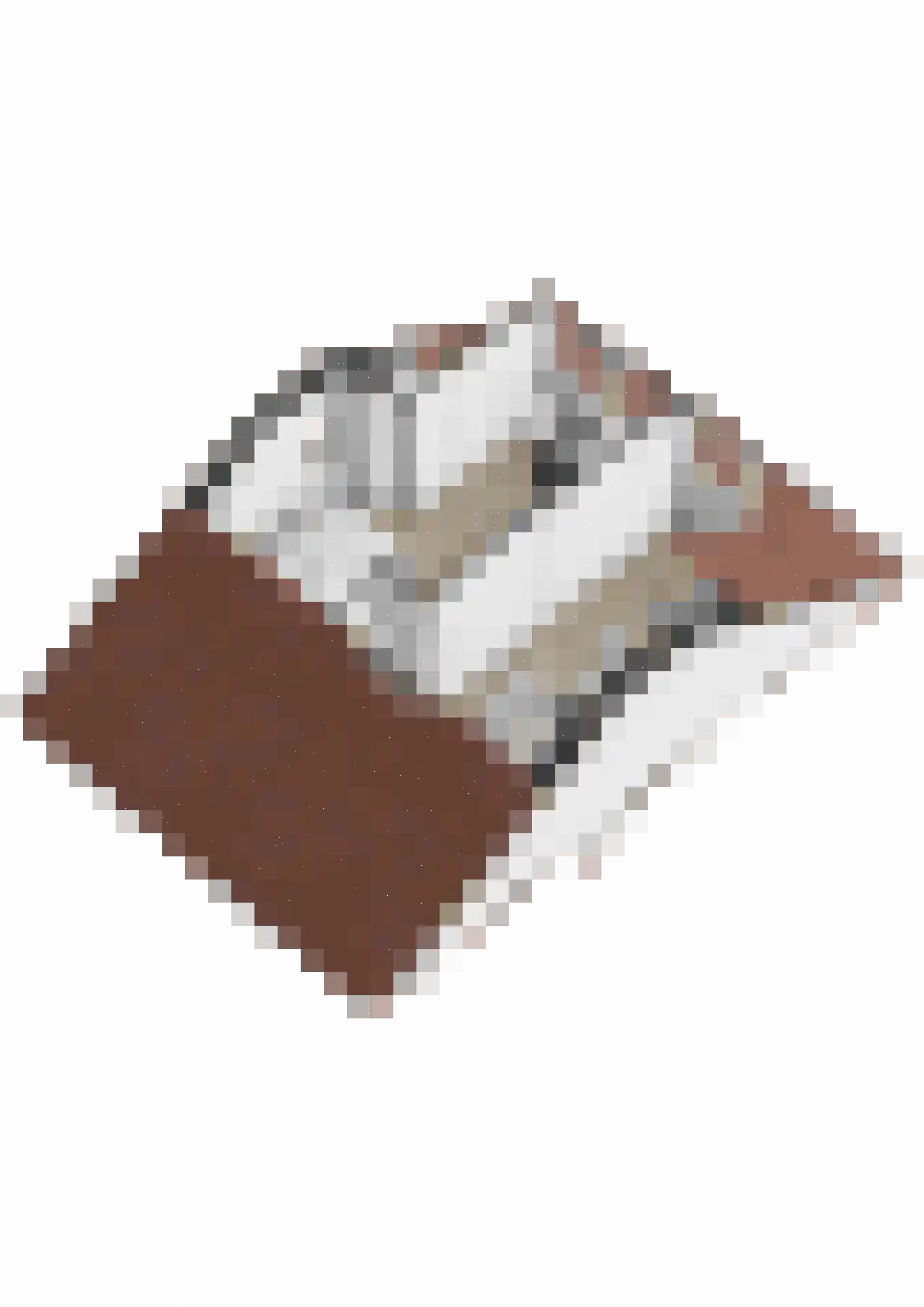 Stadhoudersplein 1 Raamsdonk thumbnail 68