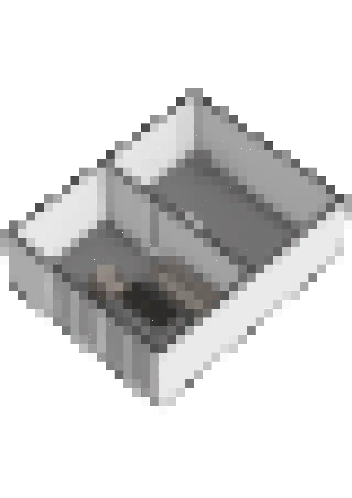 Stadhoudersplein 1 Raamsdonk thumbnail 69