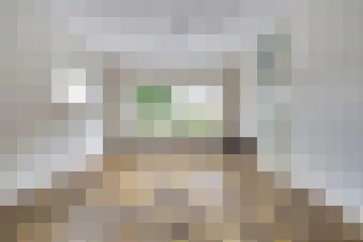 Stadhoudersplein 11 Raamsdonk thumbnail 13