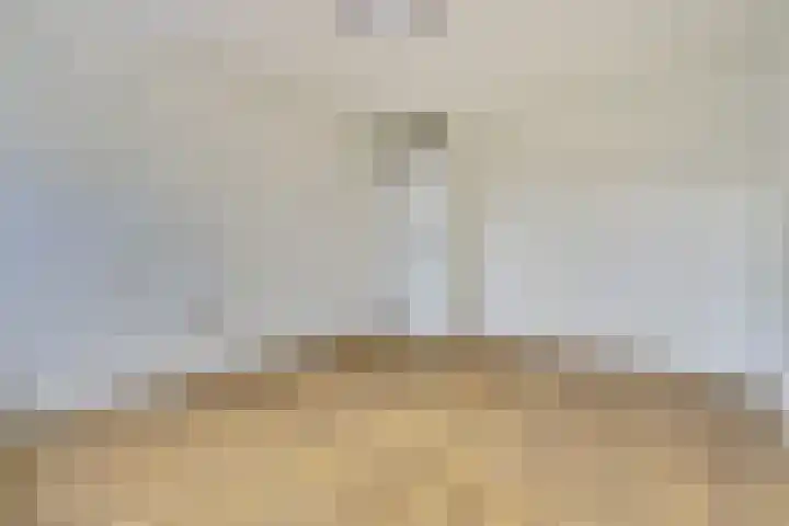 Stadhoudersplein 11 Raamsdonk thumbnail 21