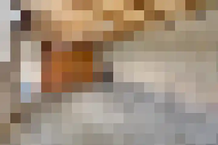 Stadhoudersplein 11 Raamsdonk thumbnail 28