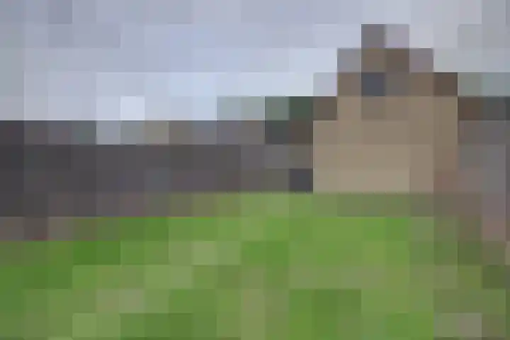 Stadhoudersplein 11 Raamsdonk thumbnail 32