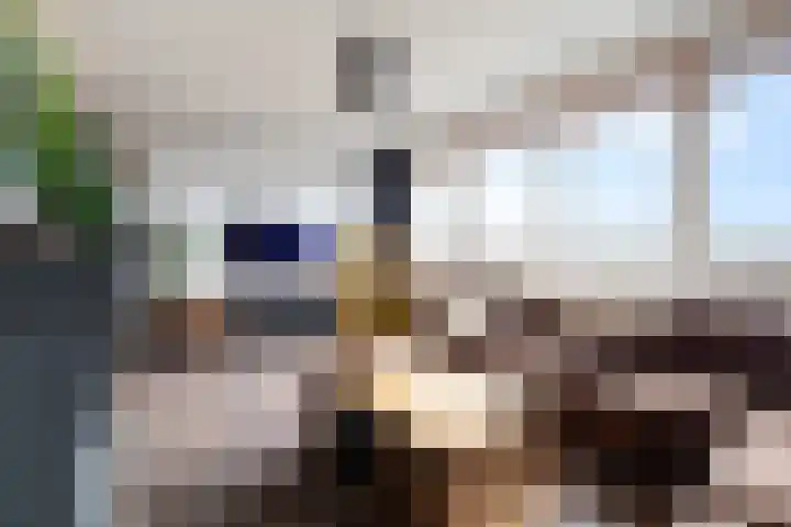 Stadhoudersplein 123 Alphen aan den Rijn thumbnail 18