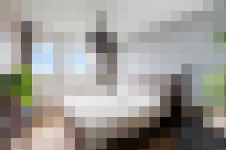 Stadhoudersplein 123 Alphen aan den Rijn thumbnail 33
