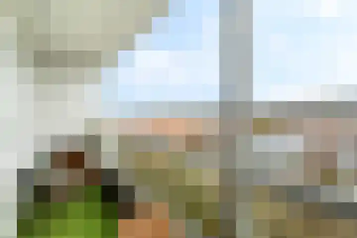 Stadhoudersplein 123 Alphen aan den Rijn thumbnail 34