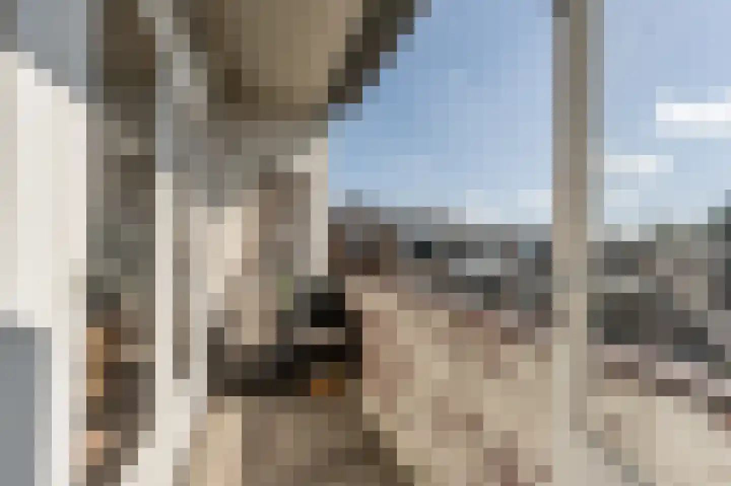 Stadhoudersplein 13 B Rotterdam thumbnail 9