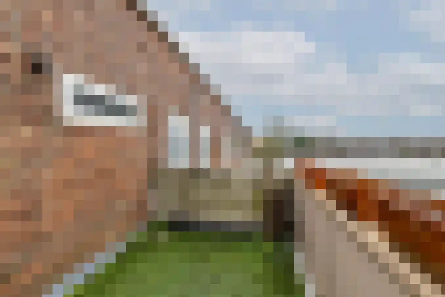 Stadhoudersplein 24 B Rotterdam thumbnail 31