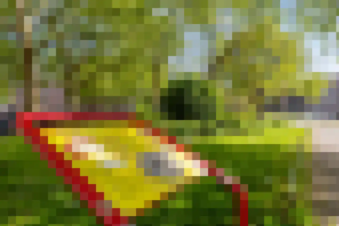 Stadhoudersplein 27 D Rotterdam thumbnail 42