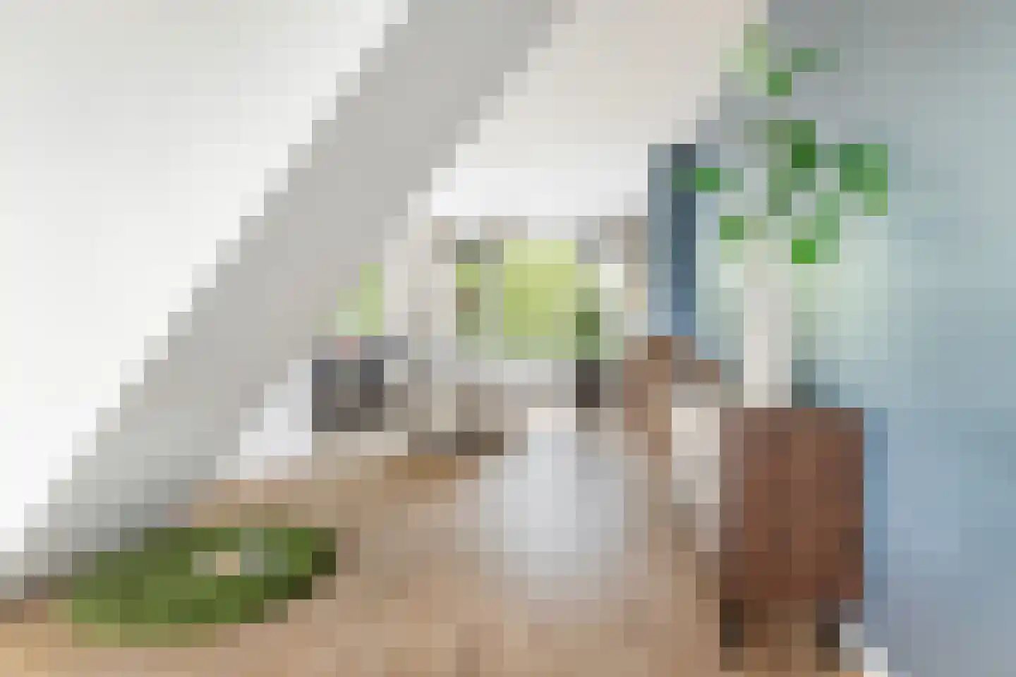Stadhoudersplein 3 D Rotterdam thumbnail 10