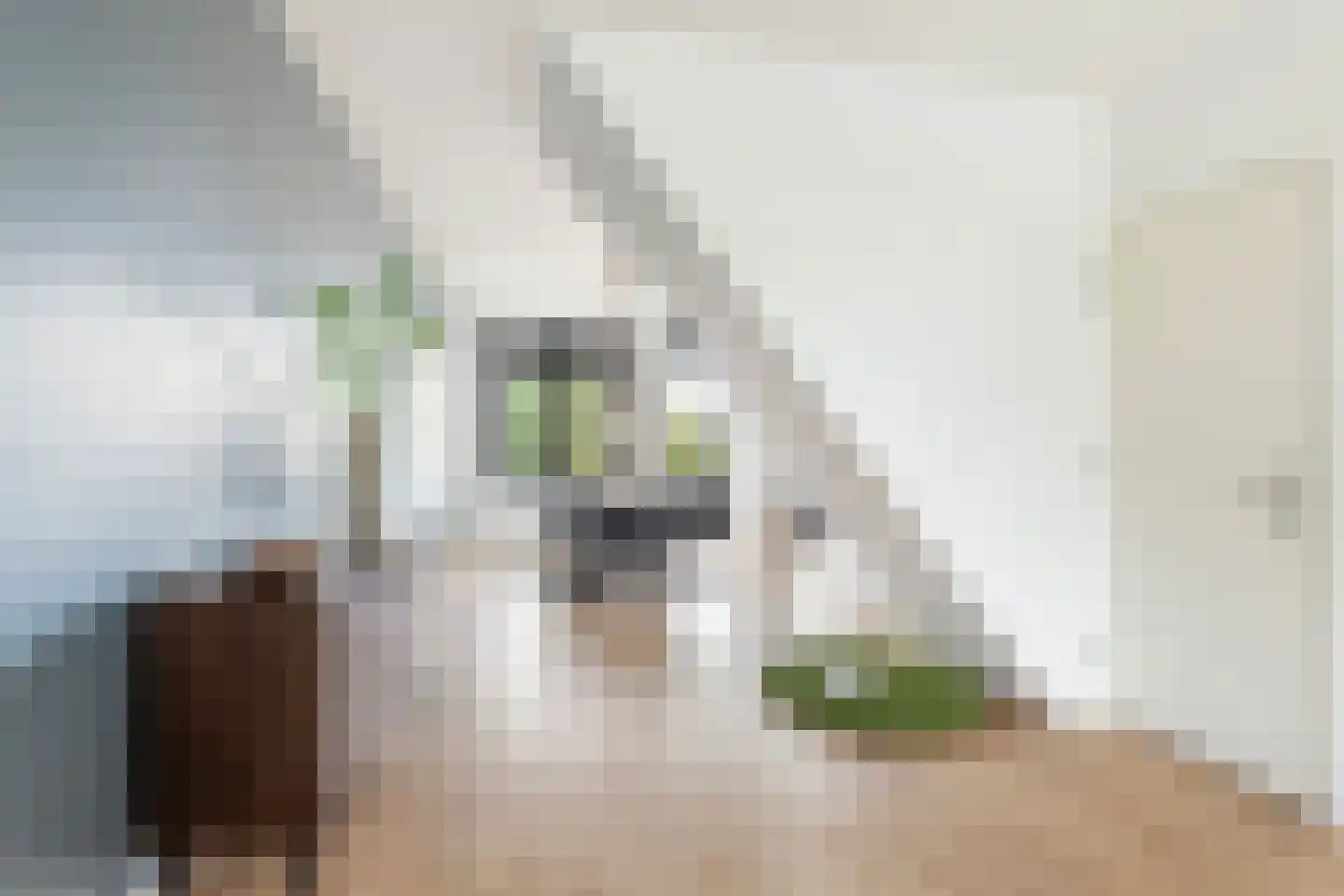 Stadhoudersplein 3 D Rotterdam thumbnail 13
