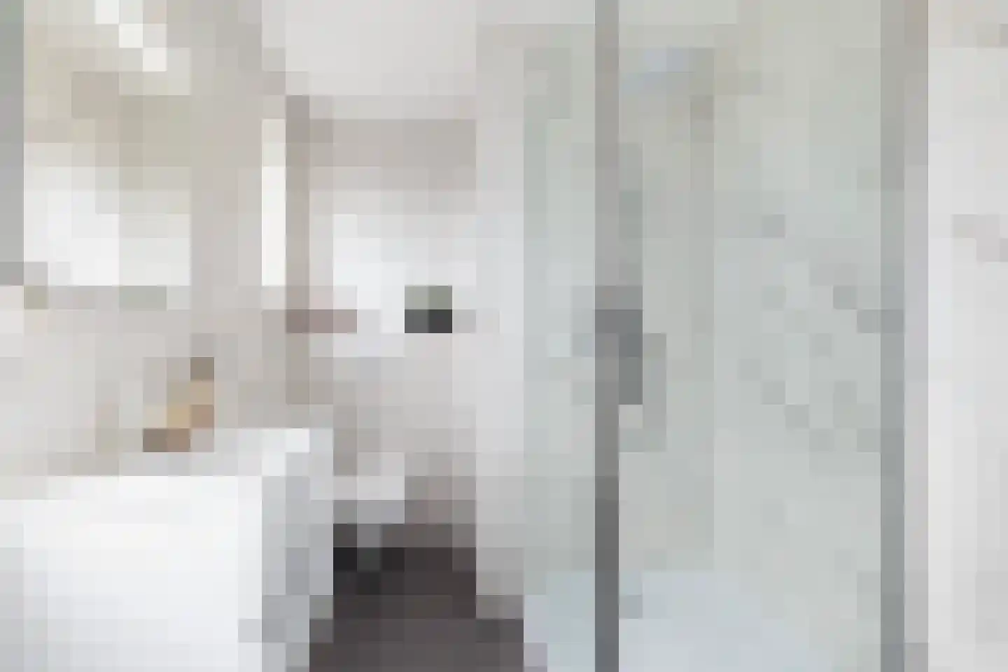 Stadhoudersplein 3 D Rotterdam thumbnail 29