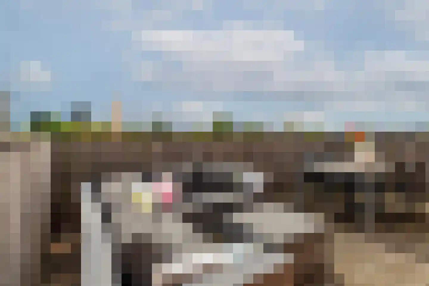 Stadhoudersplein 3 D Rotterdam thumbnail 32