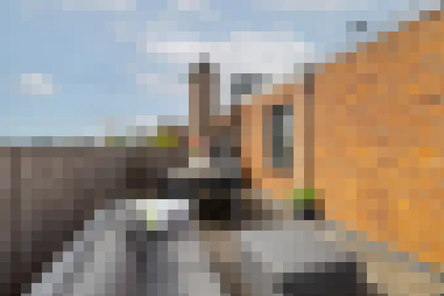 Stadhoudersplein 3 D Rotterdam thumbnail 34