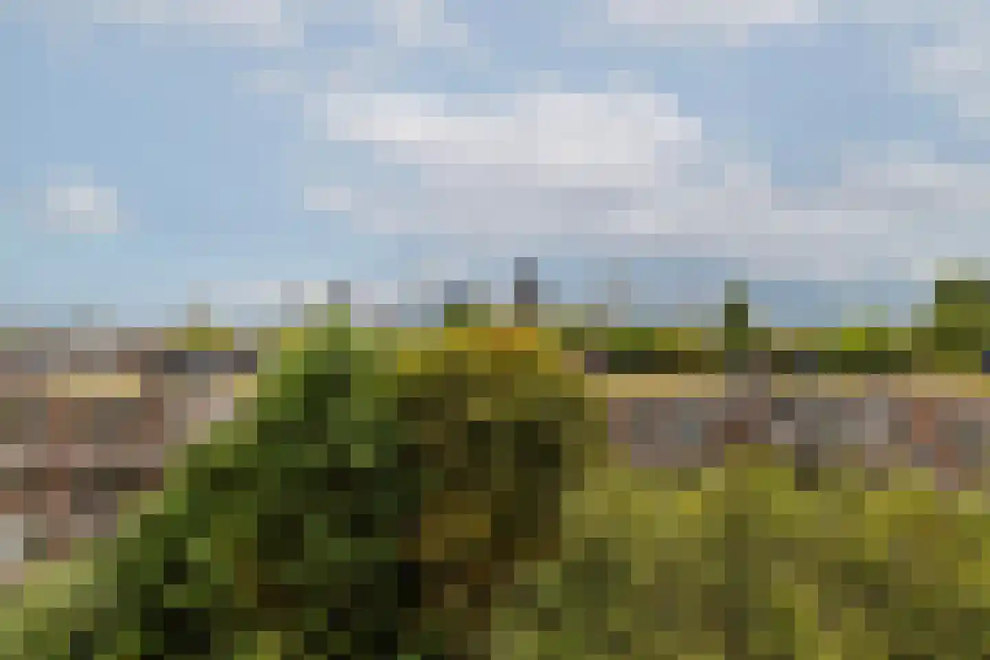 Stadhoudersplein 3 D Rotterdam thumbnail 40