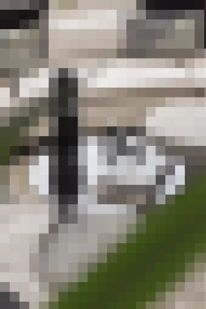 Stadhoudersplein 43 Wassenaar thumbnail 7