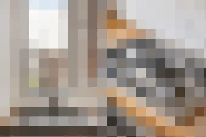 Stadhoudersplein 58 Rotterdam thumbnail 15