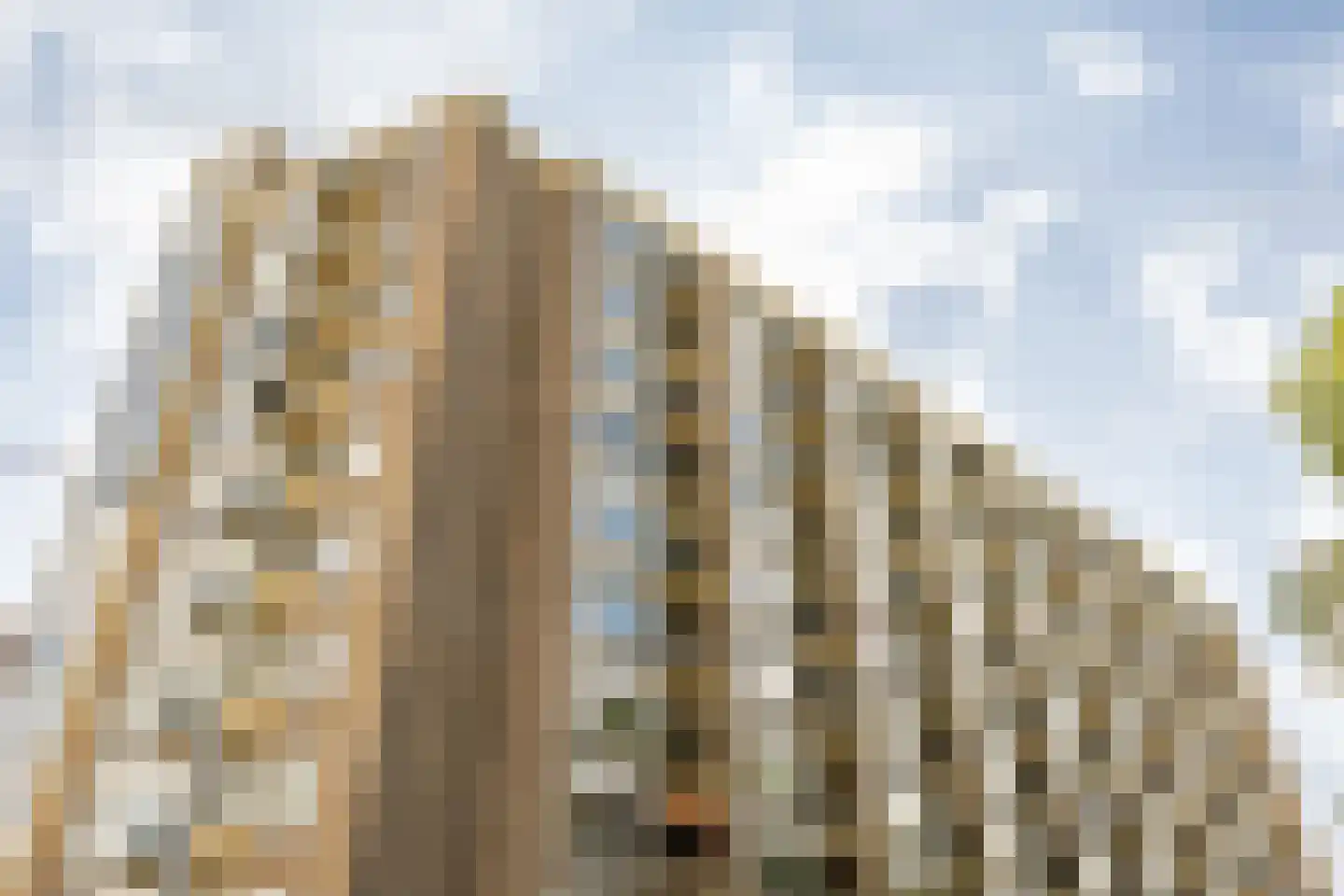 Stadhoudersplein 81 Rotterdam thumbnail 27