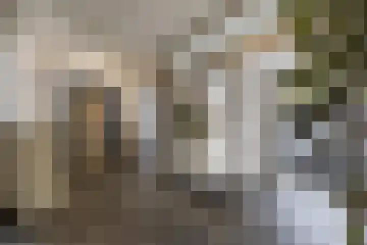 Stadhoudersplein 83 Rotterdam thumbnail 43