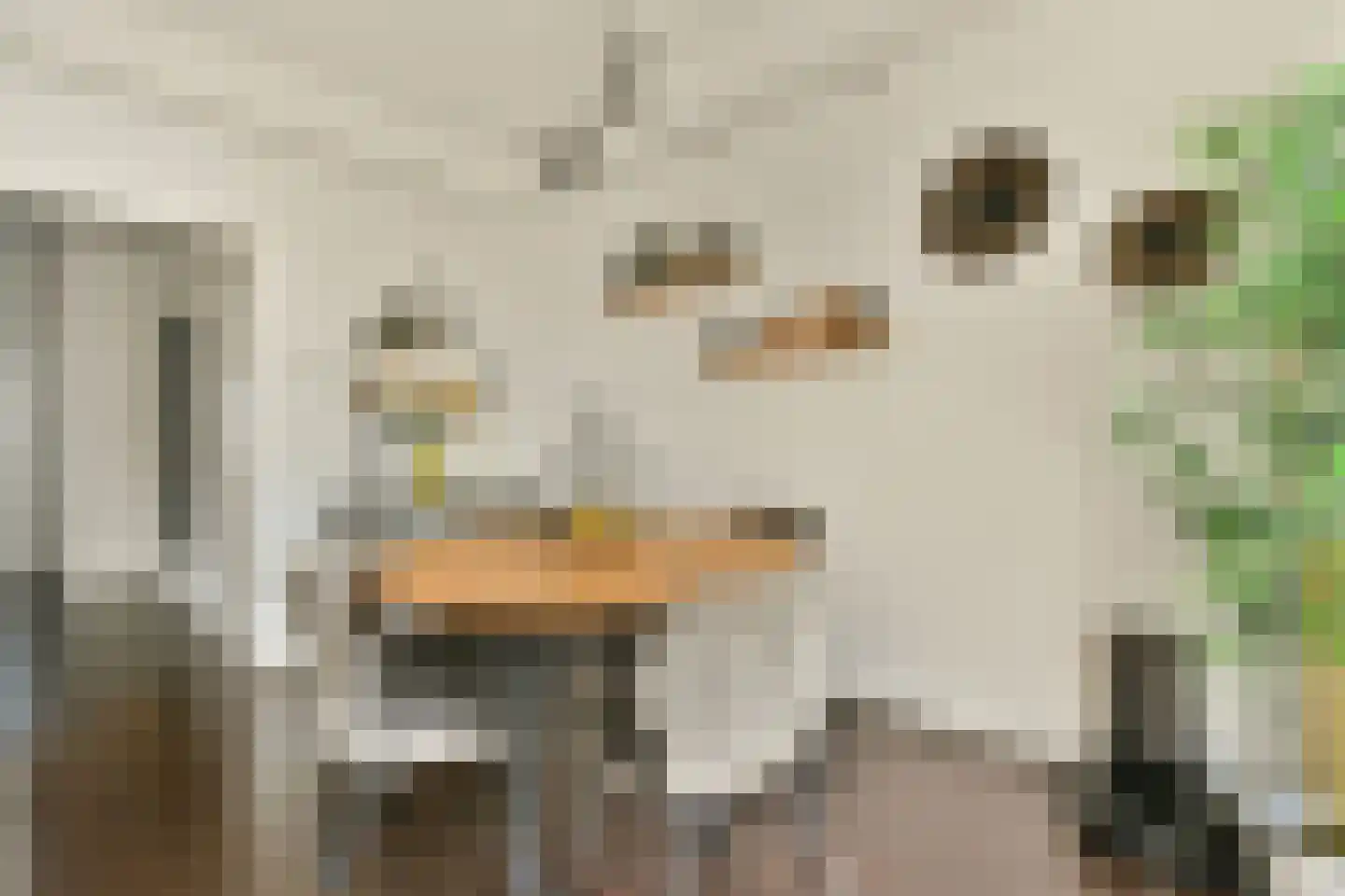 Stadhoudersplein 84 Rotterdam thumbnail 11