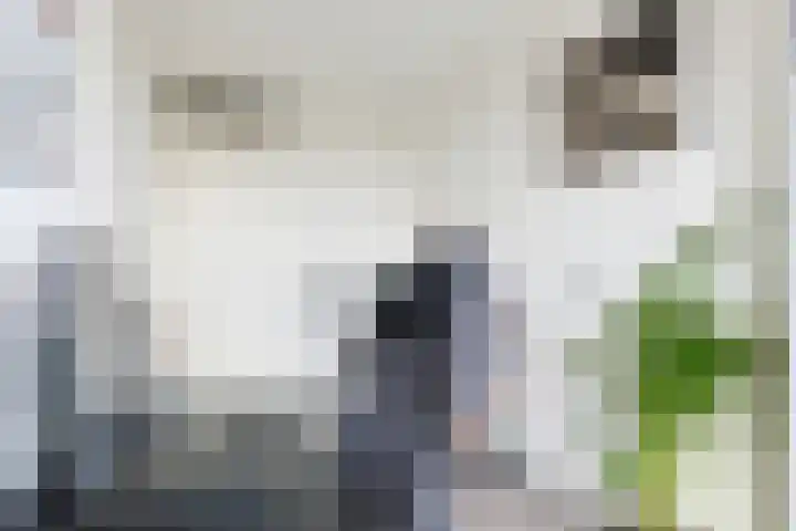 Stadhoudersplein 87 Alphen aan den Rijn thumbnail 26