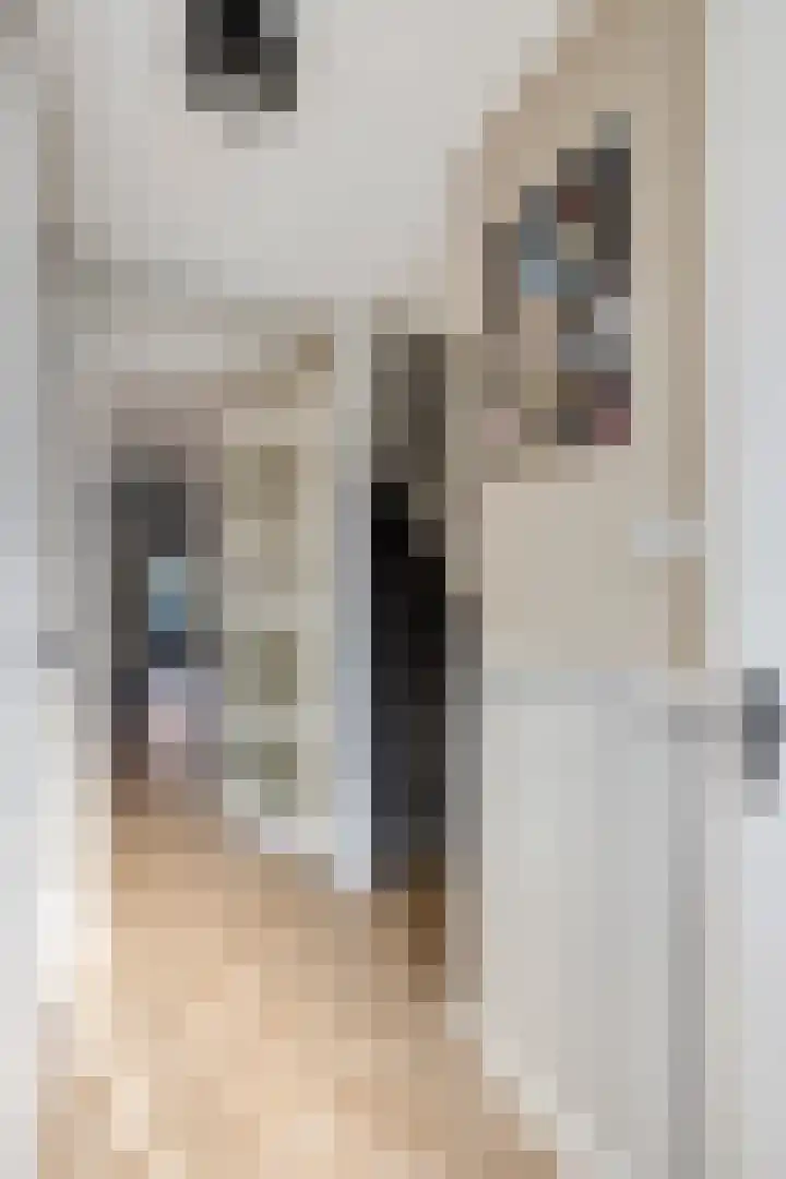Stadhouderspoort 2 Nieuw-Vennep thumbnail 13